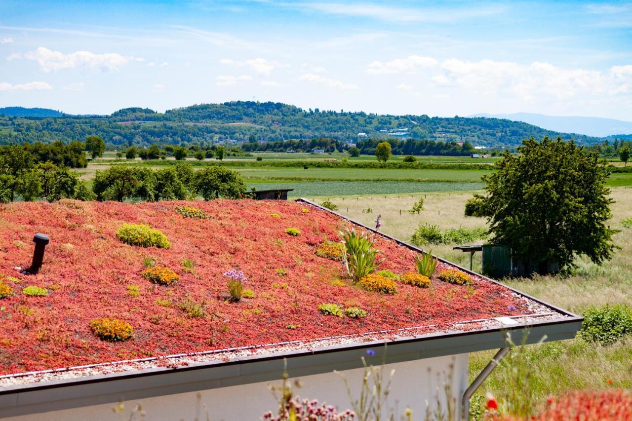 Lavate Apartment Kappel-Grafenhausen Exterior photo